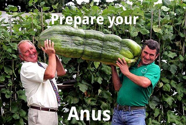 Cucumber In Ass