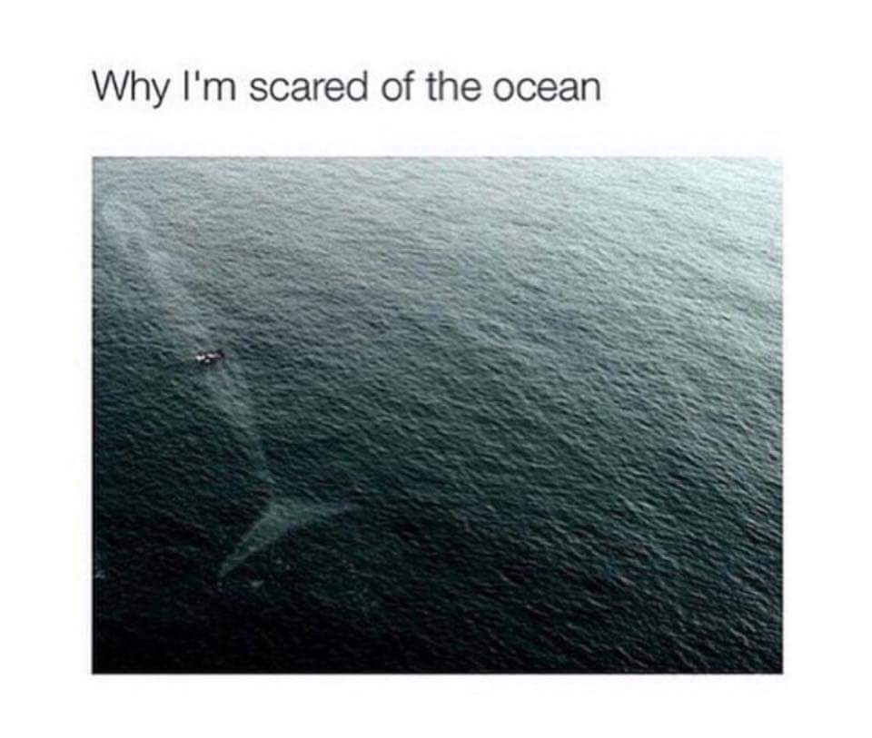 Why Im Scared Of The Ocean Meme Subido Por FunnYMan123 Memedroid