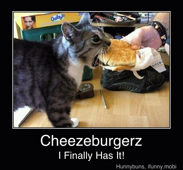 Cheeseburger Meme By Jason1578mims Memedroid