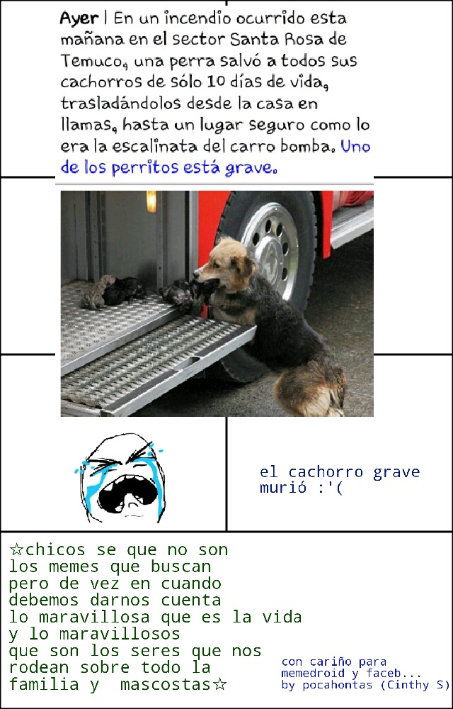 cariÃ±os para memedroid Meme subido por Pocahontas ) Memedroid