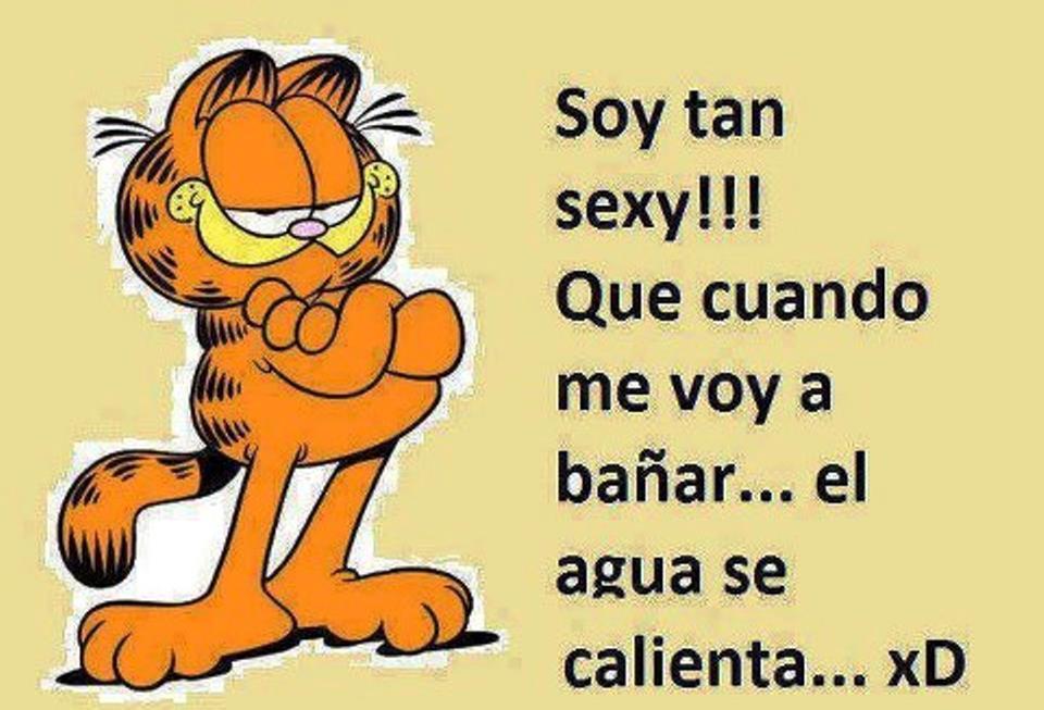 Garfield Meme Subido Por Cepg Memedroid