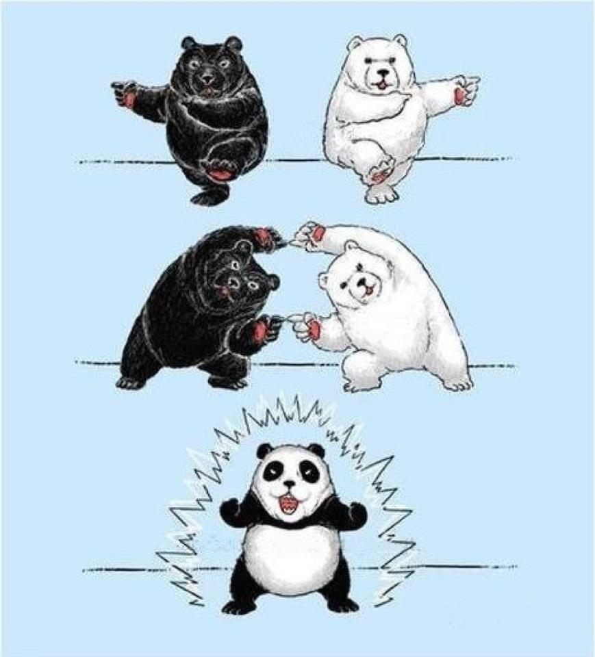 Fusion Nivel Panda Meme By Roy0599 Memedroid