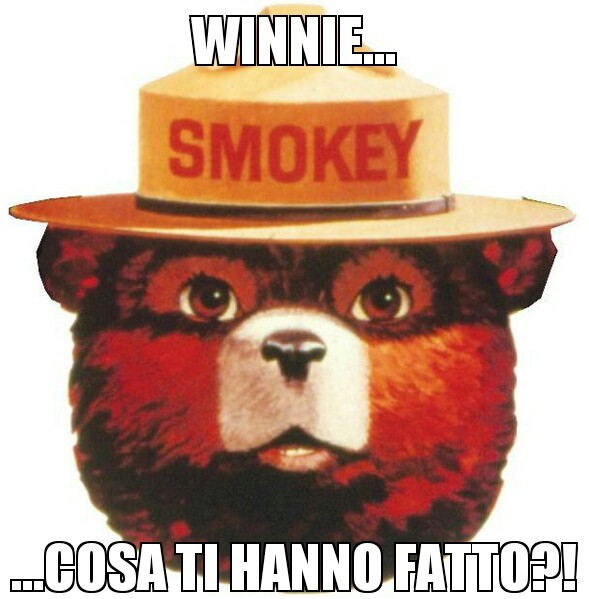 Povero piccolo orsacchiotto... Meme by perilliriccardo ) Memedroid