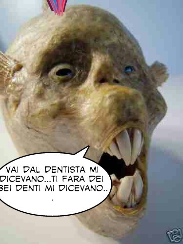 Dentista Meme By Mircoleonessi Memedroid