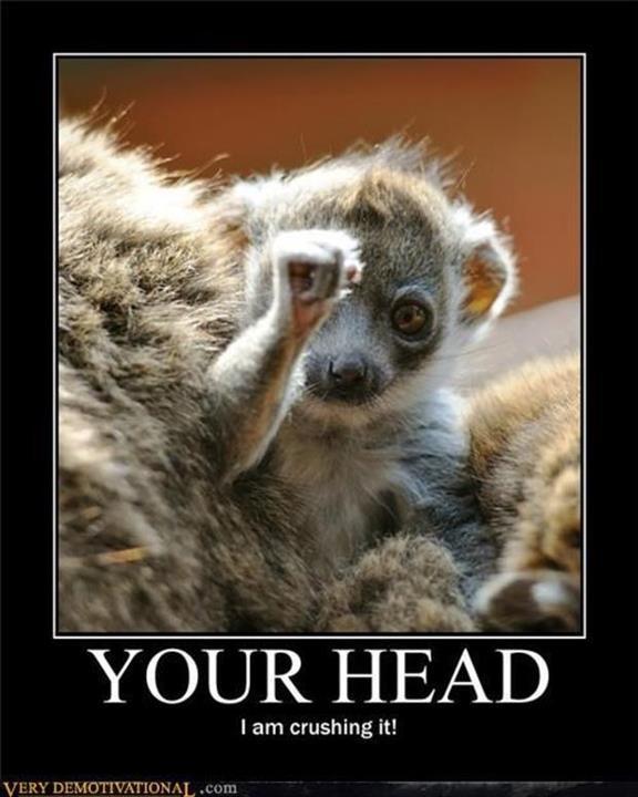crushing your head Meme by bigger.tigers ) Memedroid