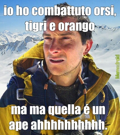 bear grills - Meme by memebosio :) Memedroid