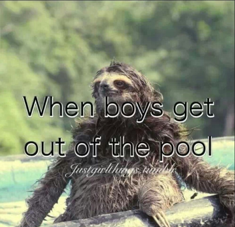 sloth memes