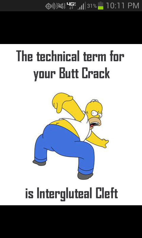 Technical Term For Ass Crack