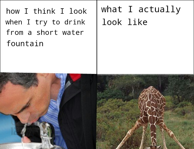 water fountains Meme by gelumursus ) Memedroid