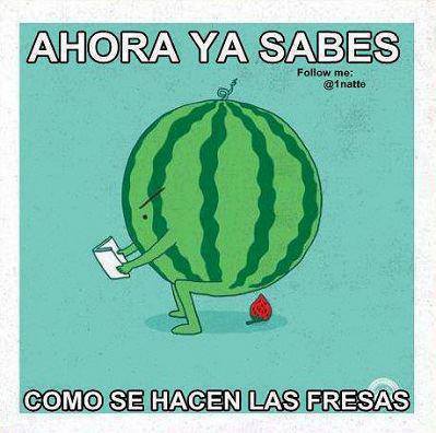 Cagada De Sandia Meme Subido Por Shizuma Hanazono Memedroid