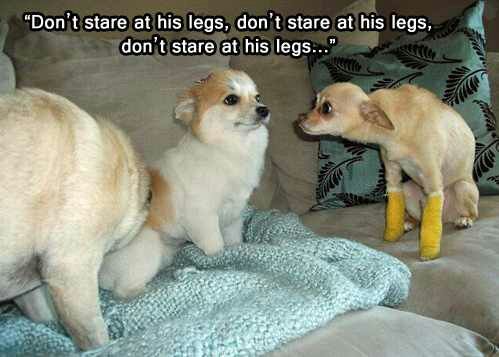 Lieutenant Dan, you got new legs! - Meme by TheOmegaOperative :) Memedroid