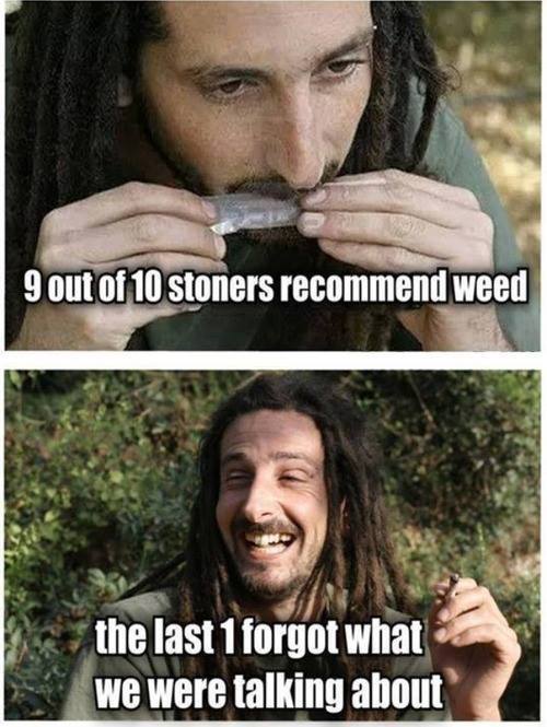 stoners! - Meme by Pahuambad :) Memedroid