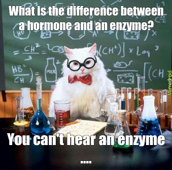 hormone v enzyme Meme by cconl53 ) Memedroid