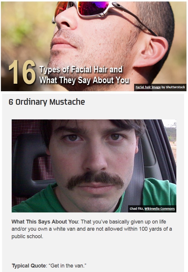 facial hair Meme by rowdyrubber ) Memedroid