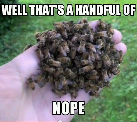 Thanks To Inuyashafangirl101 This Title Is Now A Black Man Meme By Monkeylazar Memedroid thanks to inuyashafangirl101 this title is now a black man meme by monkeylazar memedroid