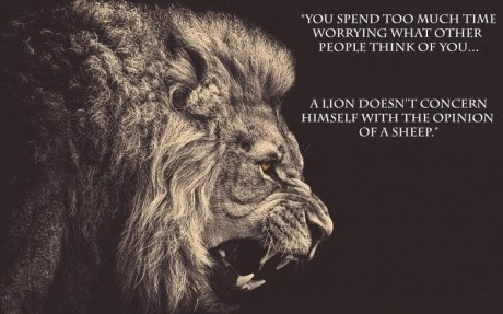 The Lion King Speaks Quickmeme