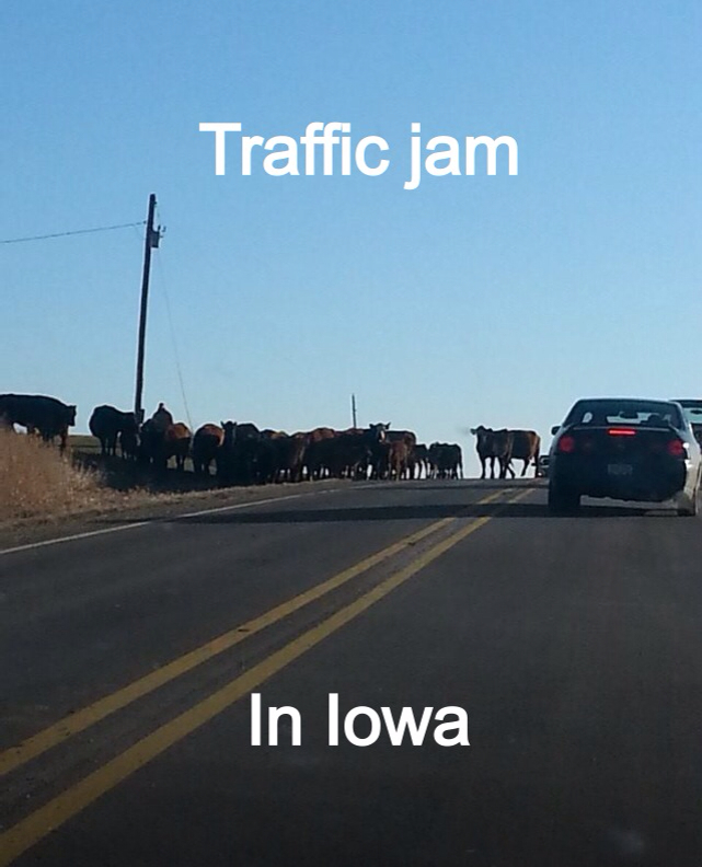 Oh iowa Meme subido por mahoodk ) Memedroid