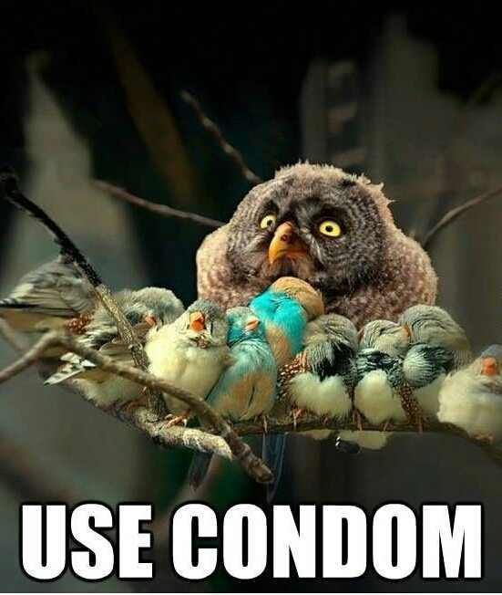 sup Meme by f.vs643 ) Memedroid