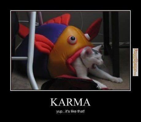 karma - Meme by klaasjelleras :) Memedroid