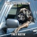 They see me rollin' they hatin'