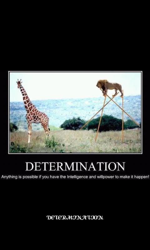 determination - Meme by lort :) Memedroid