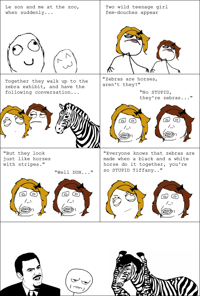 Zebra - meme