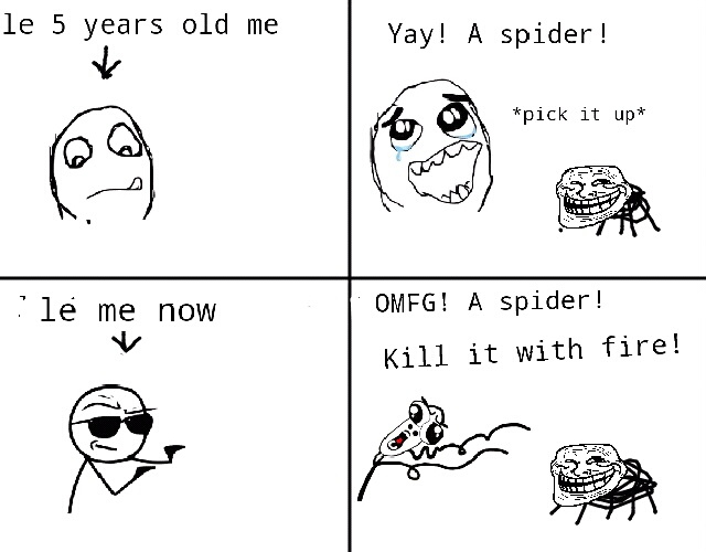 Spiderrr - meme