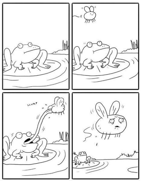 frog fail - meme