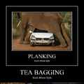 teabagging