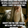 scumbag dumbledore