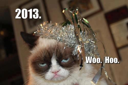 grumpy cat isn't fond of 2013 - meme