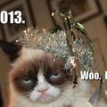 grumpy cat isn't fond of 2013
