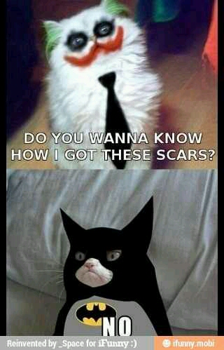i love batman... and the grumpy cat... xD - meme