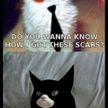 i love batman... and the grumpy cat... xD