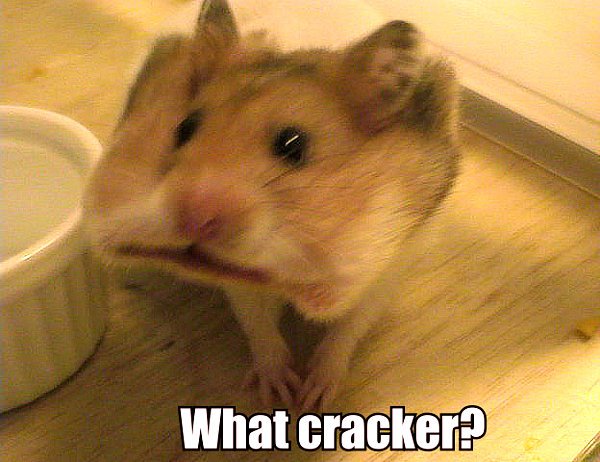 Cracker? - meme