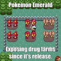 Pokemon Drug Farm.