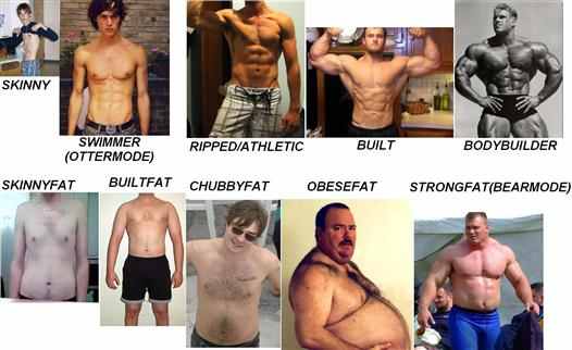 which are YOU! - meme
