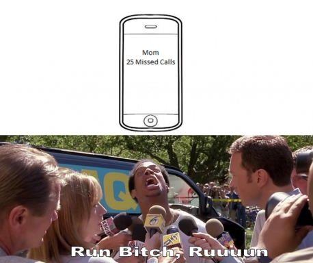 Run Bitch Run! - meme