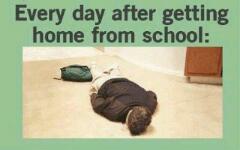 every fuc**ng day - meme