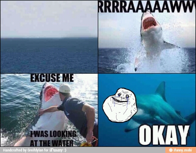 poor shark... - meme