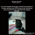 Good guy dog :') right in dem feels!!!