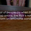 Emotional bonds