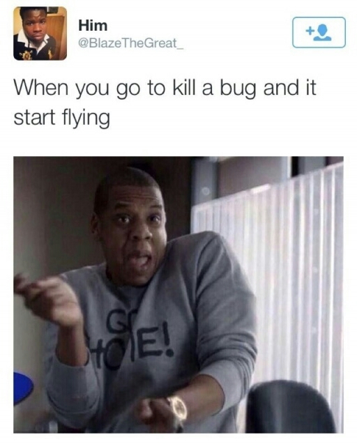 Flying insect from president - meme