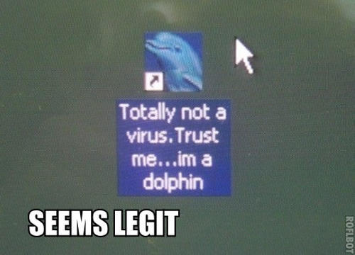 I am a virus and if you download it your memes will never pass moderation again.