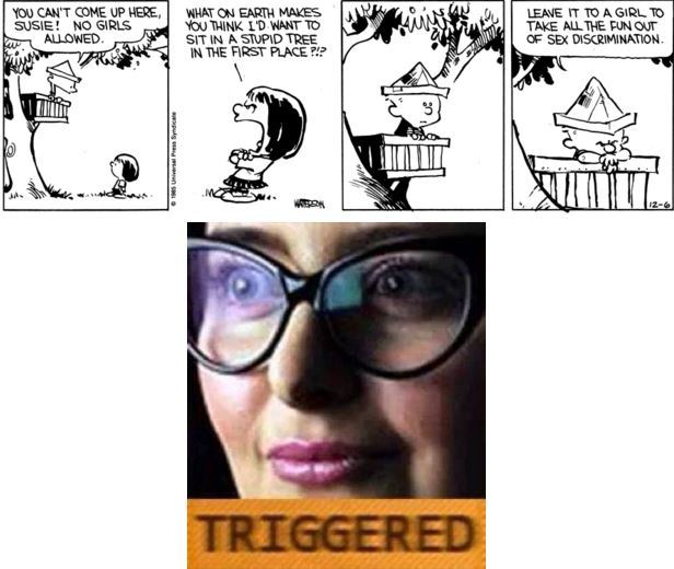 Triggered - meme