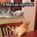 Las tortillas!!!