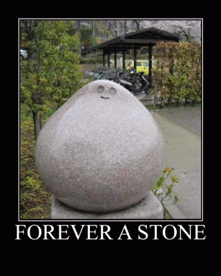 Forever a stone - meme
