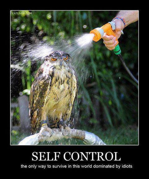 control - Meme by Monika :) Memedroid