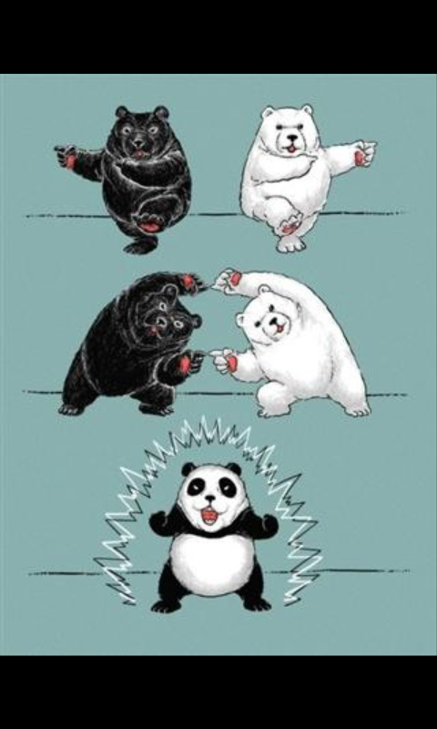 how pandas are made - meme