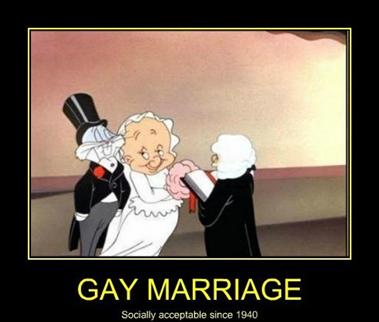 gay marriage is between a rabbit and a hunter - meme